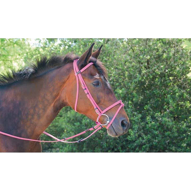 Biotack Bridon - SHOP HORSE